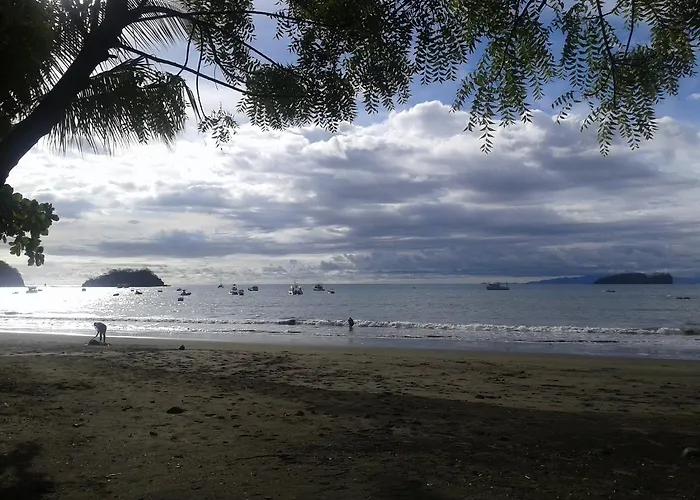 Playas Del